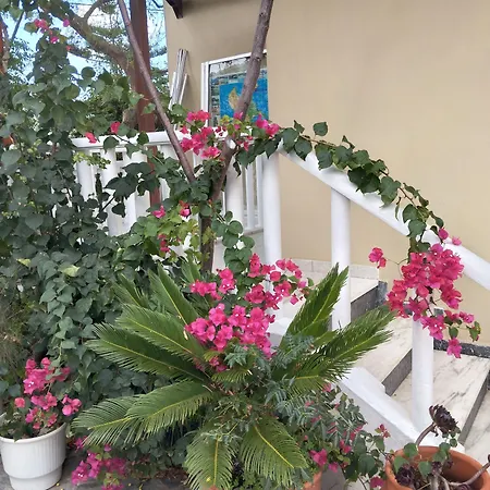 Daizy Boutique Apartman *